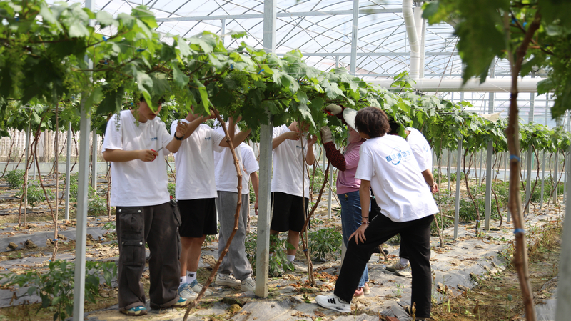 1715237286950092594.jpg IMG_4393.jpg